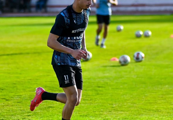 gafali2.jpg